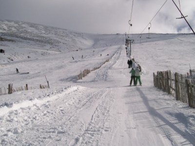 The Goose gully, March 2008