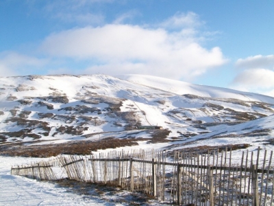 The Caenlochan viewed from the Cluny's. Jan 2011.